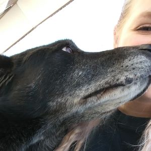 Meet your Posher, Mikelle